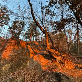 赤！
かっこいい