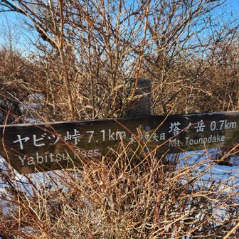 まだまだ遠いけど、宿泊したから楽しむ余裕あり。