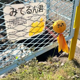 なんかこんな家鍵のキーホルダー使ってる人最近見た気がする…