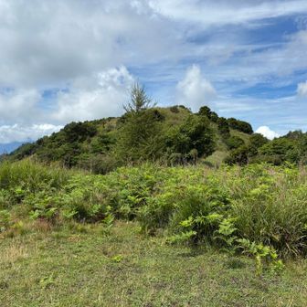 カヤトの原から横尾山を望む？
見える山は横尾山じゃないだよ

まだまだ見えません😅
期待するとガッカリてす🤣