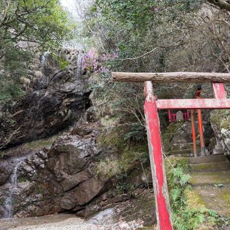 綺麗に管理、整備されている
神聖な修行場のよう