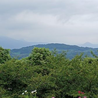 曽我丘陵の向こう､右に矢倉岳､左に金時山と明神ヶ岳
