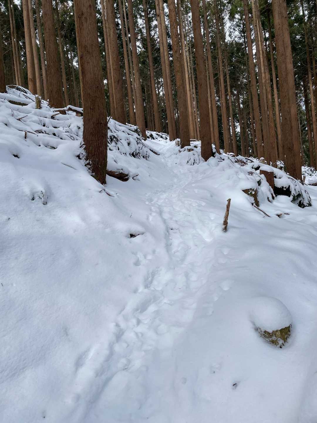 安心のトレース