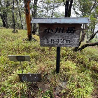 ようやく小川岳⛰️