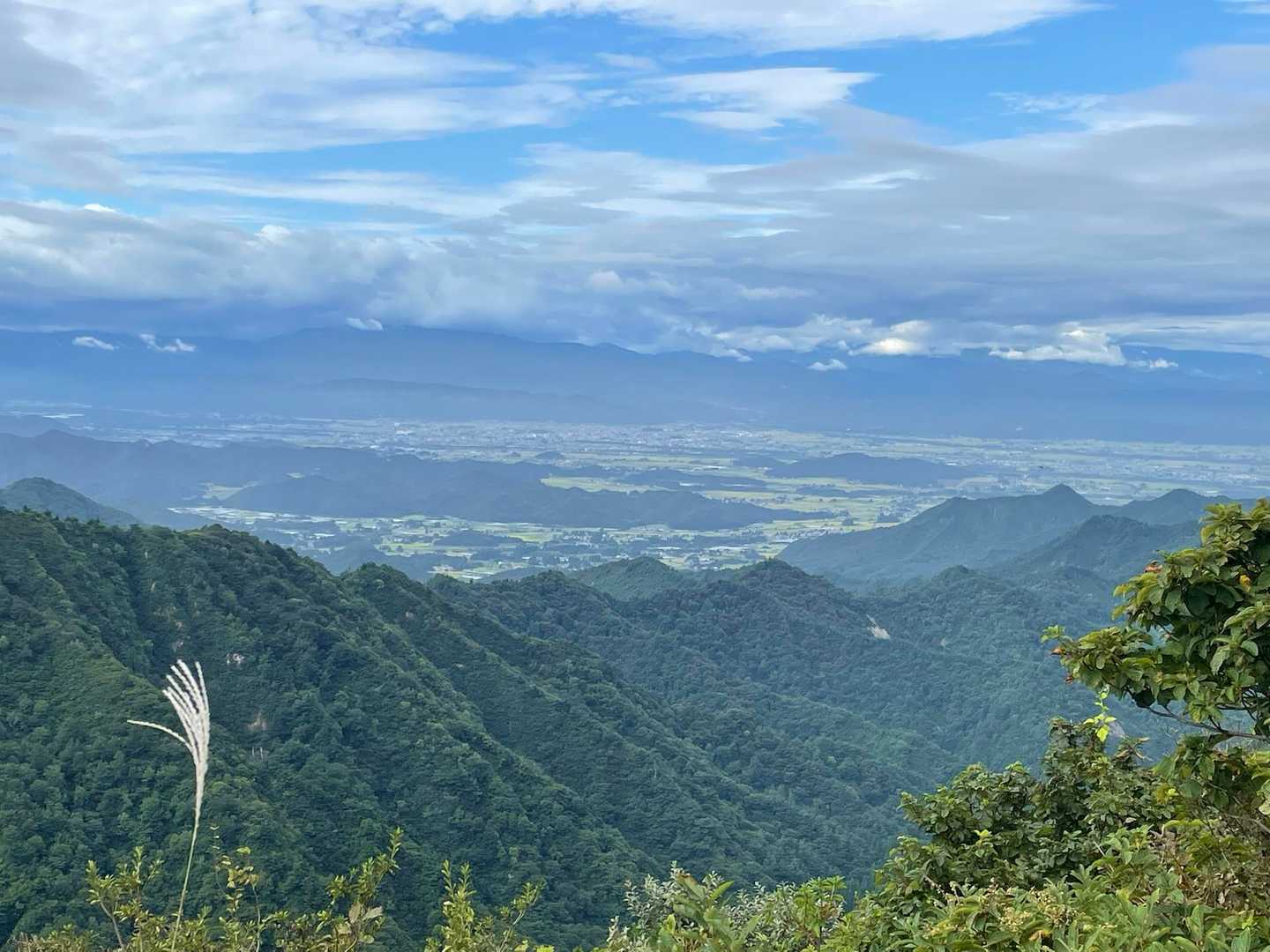 鳩峰峠-龍ヶ岳 往復コースの写真
