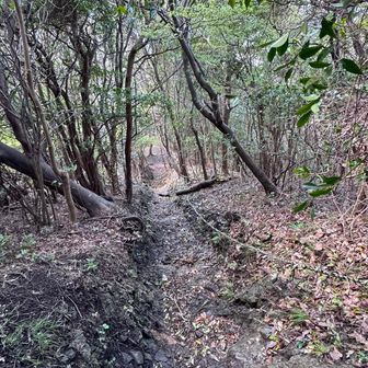 伝わらないと思いますけど、まあまあ急降なんですよ。伝わらないと思いますけど💦