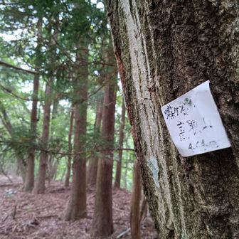 グレーピークの煤ヶ谷高取山山頂到着〜♪

その前の煤ヶ谷秋葉山は山頂プレート見つからず💦