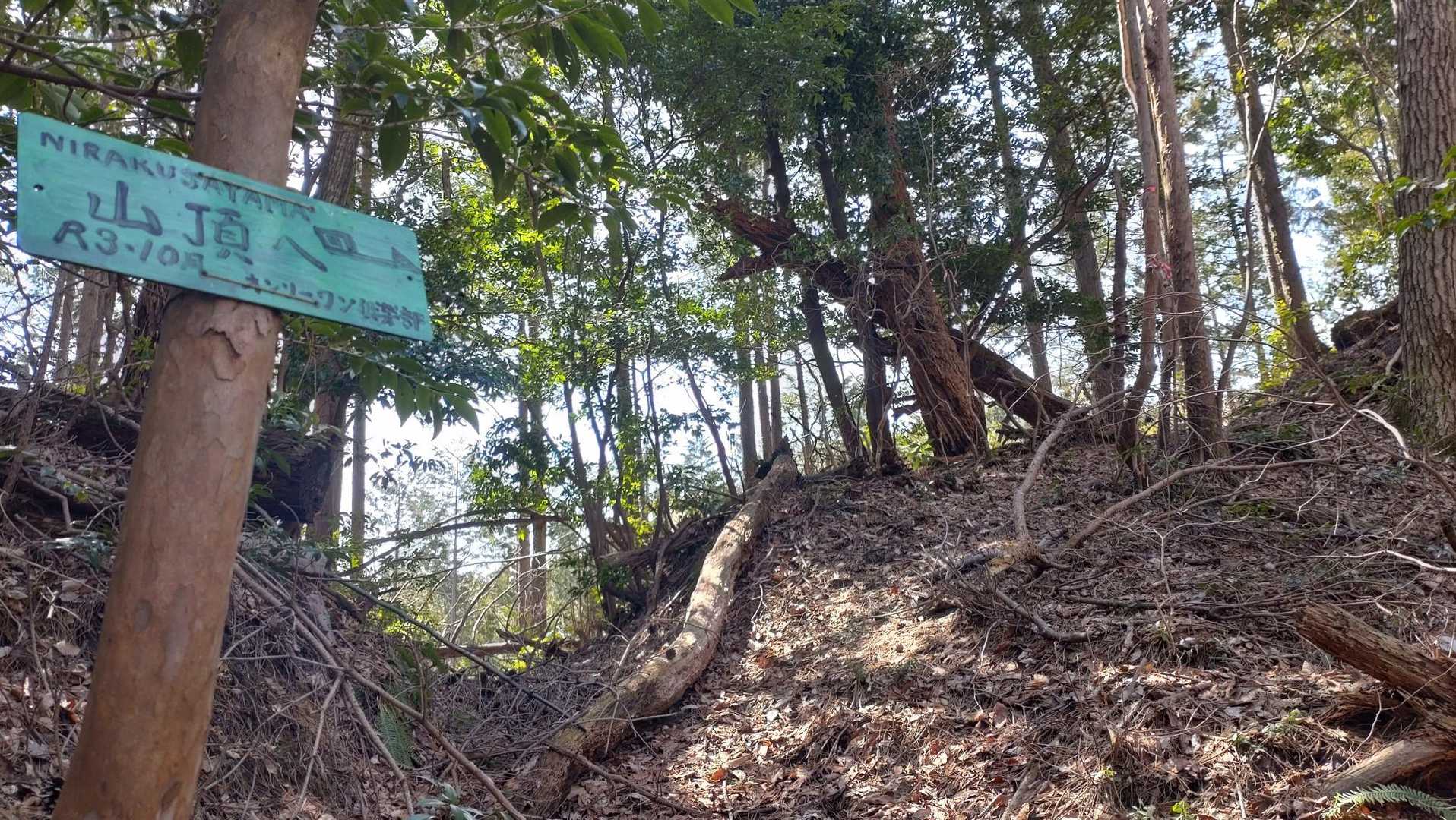 峠まで来ました。ここから右の尾根道へ