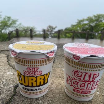 この状態から上宮様にパンパンしてる間‥あろうことか、蝿がカップヌードルにたかってる⁉️💦💦💦