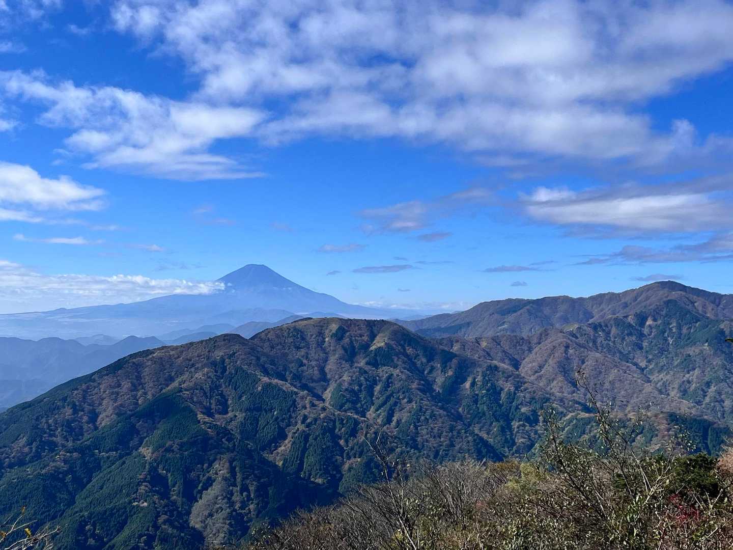 境沢ノ頭-ミズヒノ頭-西沢ノ頭-大山-頂上登山口-大山ケー 縦走コースの写真
