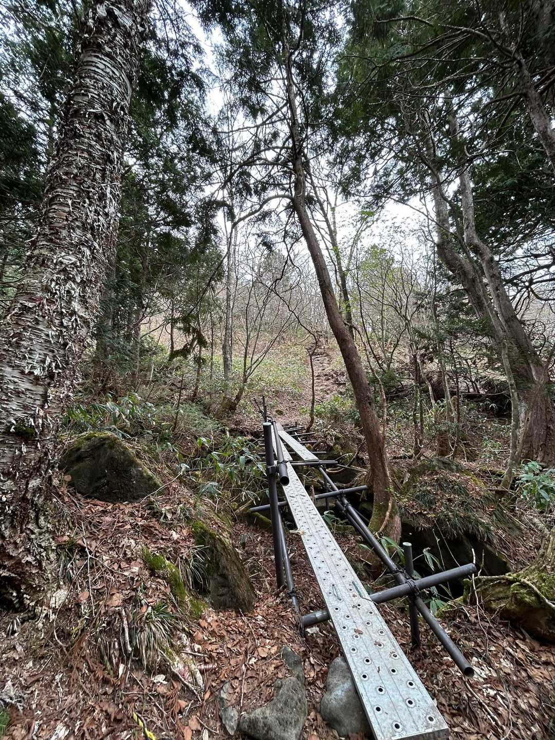 グラグラする橋💦