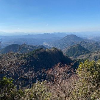由布が見えた🐱