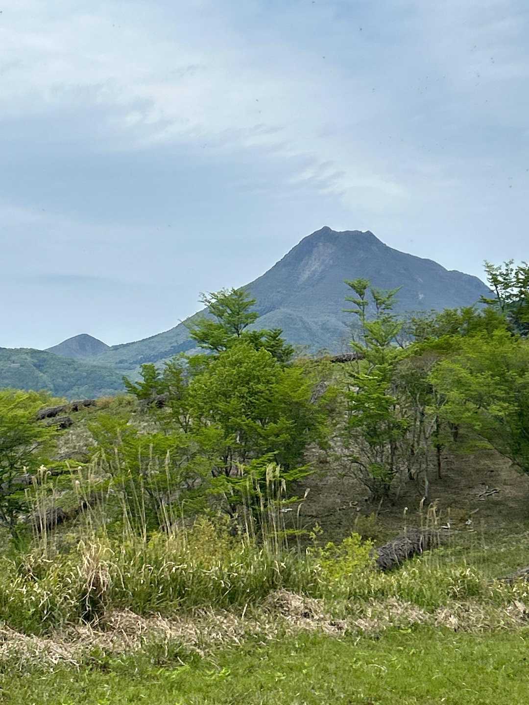 途中のビューポイント　由布岳！