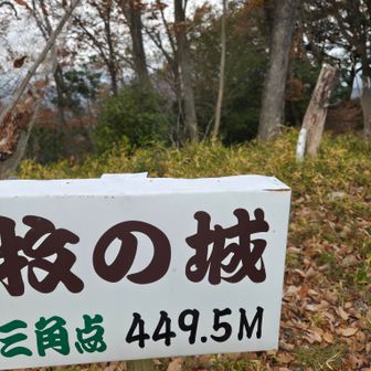 達筆ね
フォント選びがお上手👏👏
右後ろの棒切れ場所に三角点石碑