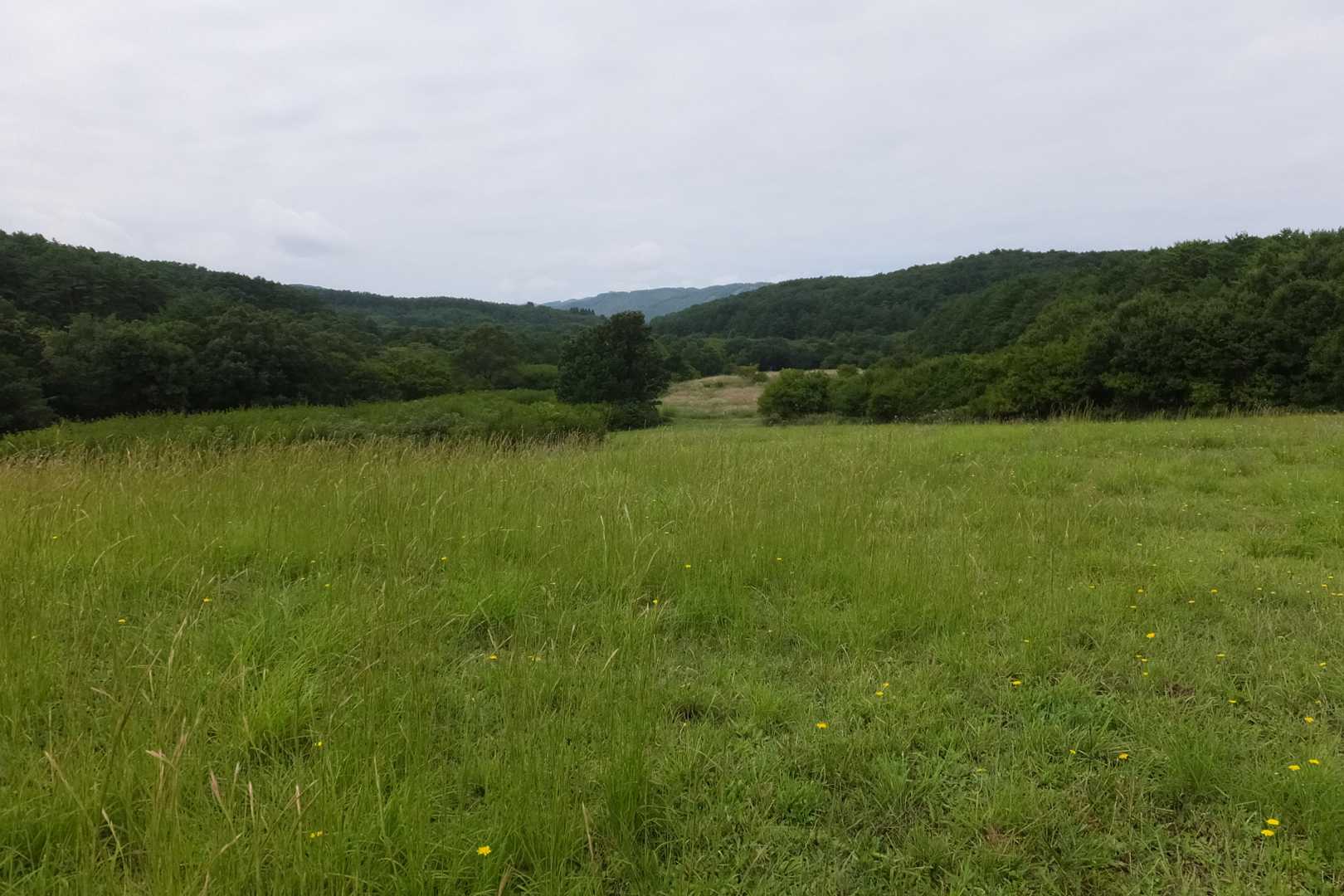 191方面
　臥龍山の登山口まで
　近道で