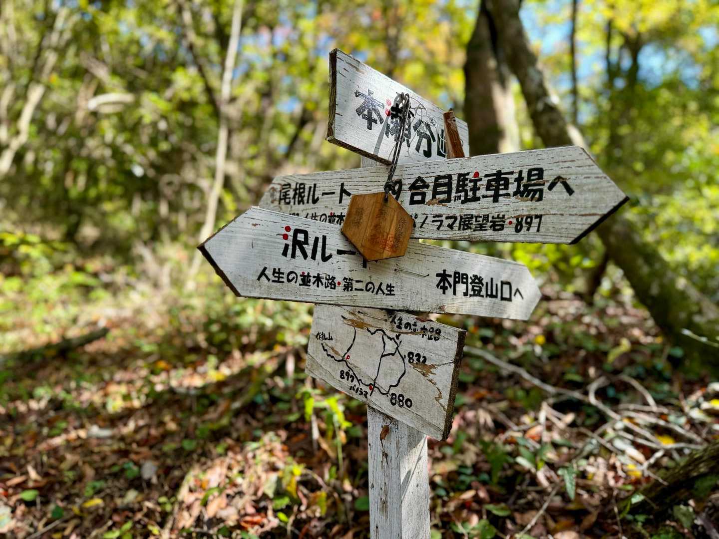 圧巻の人生の並木道から3つの自然湧水池を持つ作礼山への写真