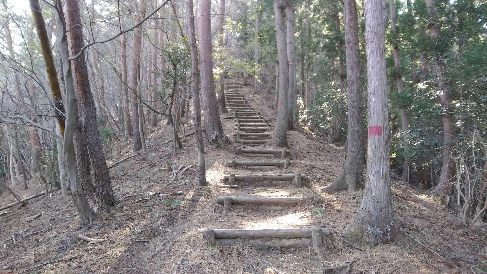ここから吾妻山までは急な階段がいくつかあります😱。
