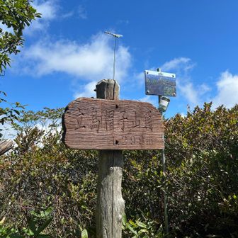 すぐに山頂です🙌
青空が綺麗😊