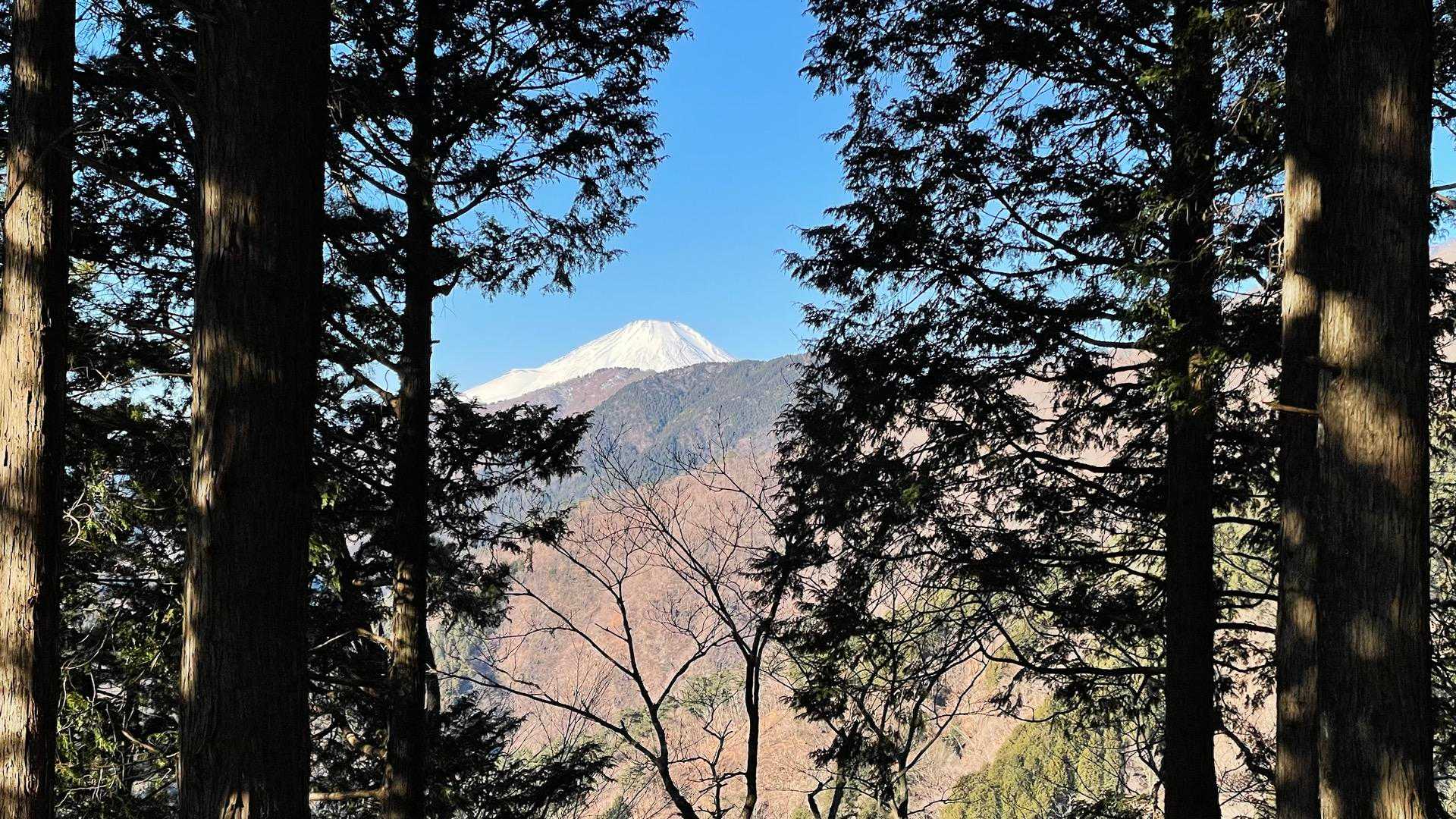 堀山の家から🗻