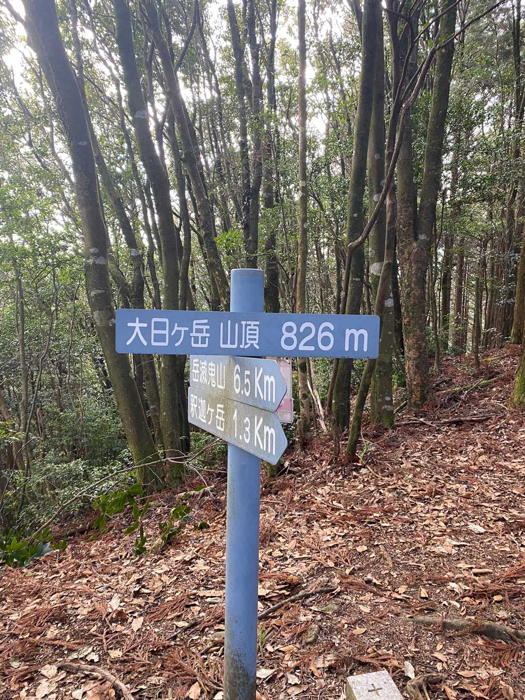 やっとやっと大日ヶ岳へ到着😹