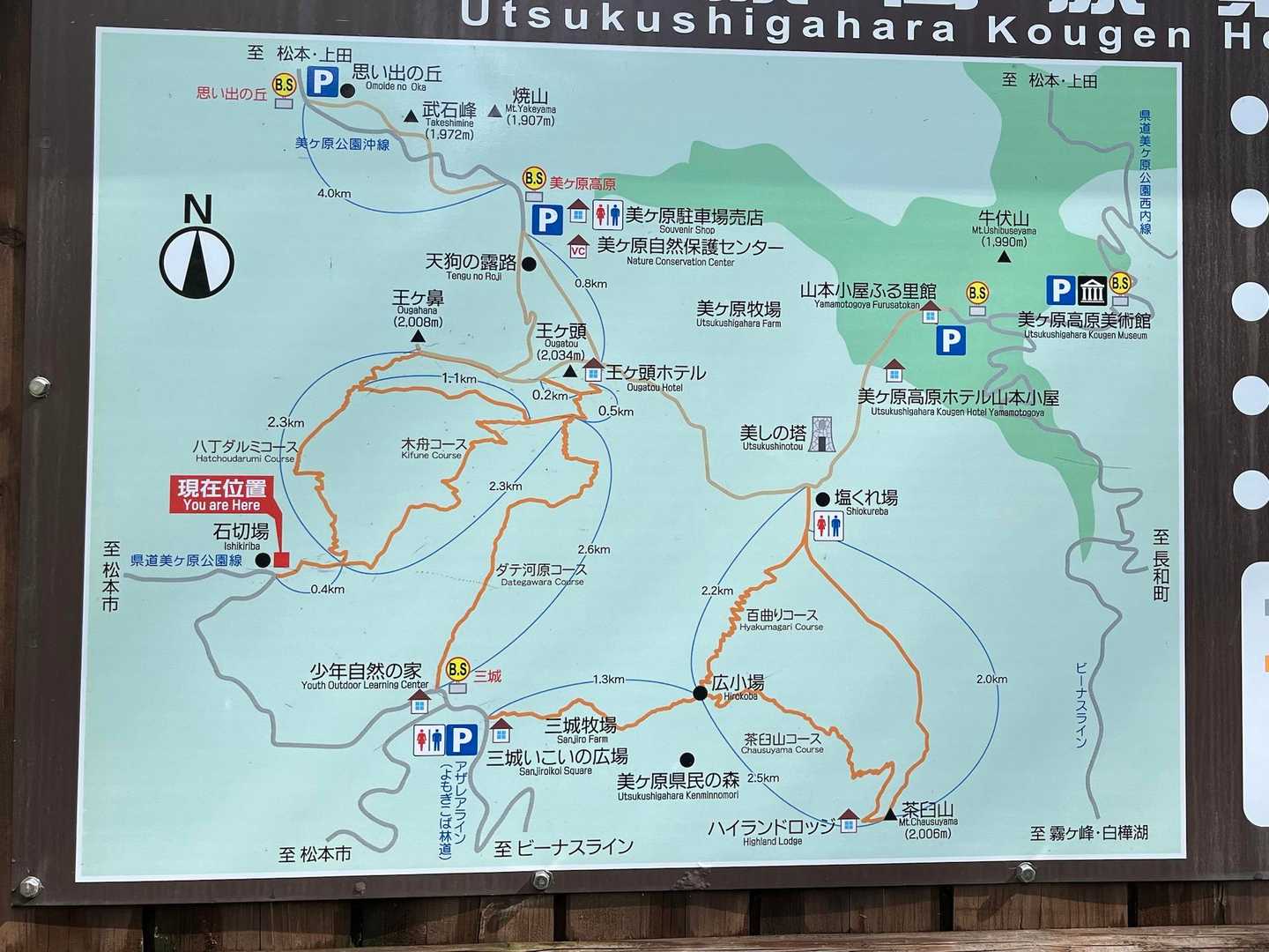 さあ行きます、八丁ダルミコース