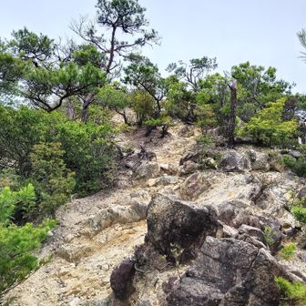 東観峰に到着