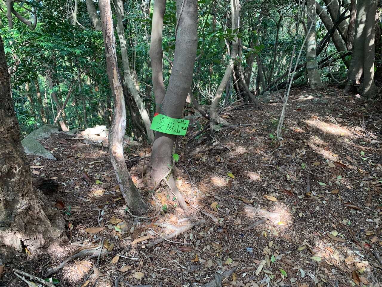 愛嶽山の写真