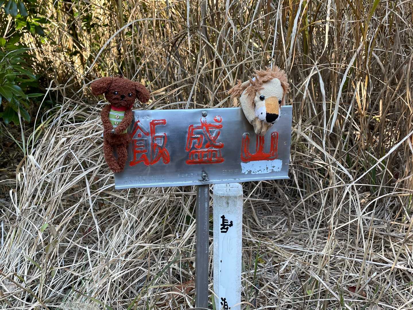 やっと、やっと、、山頂に到着❗️
ここまで急登、激登とは思わなかったです💦