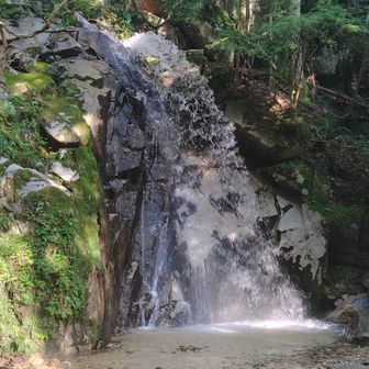 寿老の滝。朝から賑わってました