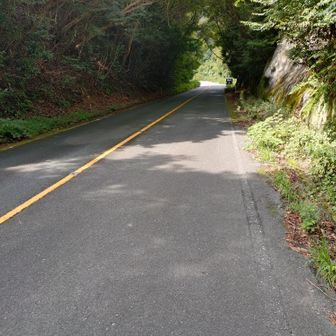 一旦車道に出ました