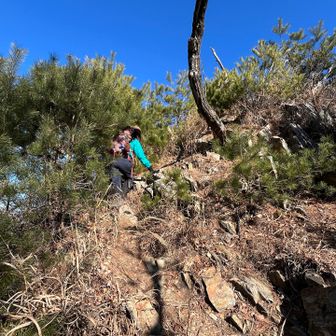 かなりの急登。足元注意⚠️ゾーンです。
