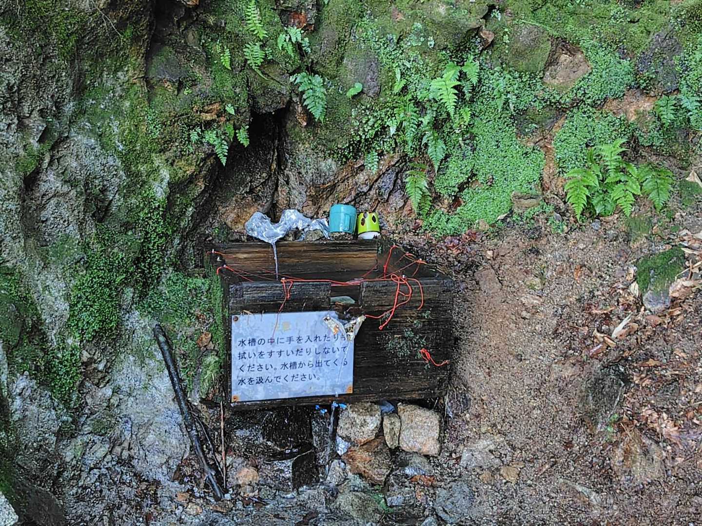 水場
冷たくて美味しい