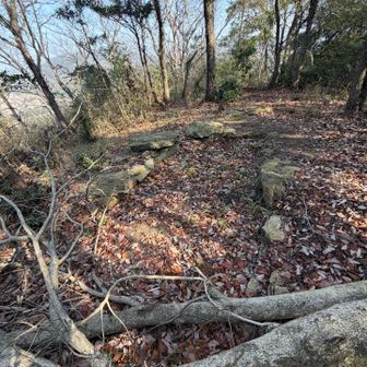 この石積みは、炭焼小屋の跡？