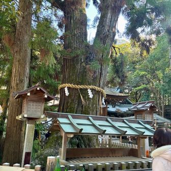 巳年が終わったけど、卵がお備え🥚