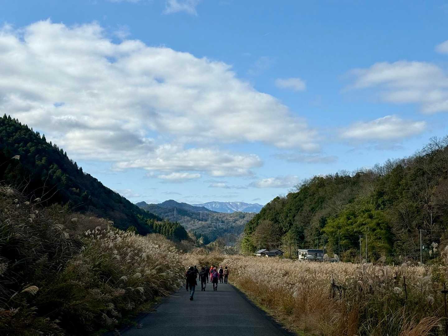 アスファルトをテクテク🚶‍♀️
終盤ではあるけれど、ススキ🌾が良い感じ✨✨