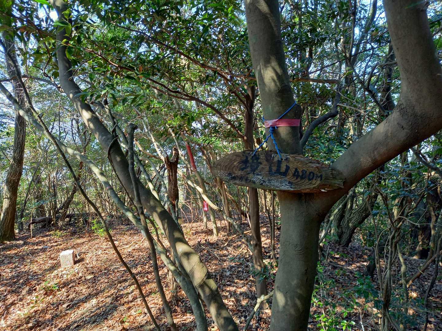 二座目、境山登頂！👍️