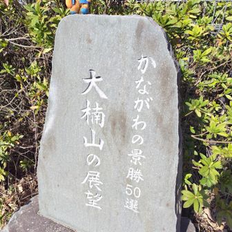 夫のお供を真似して、私も初めて連れて来ました( *´艸｀)