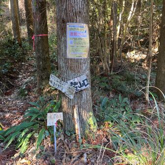 登山口発見！頑張ります。