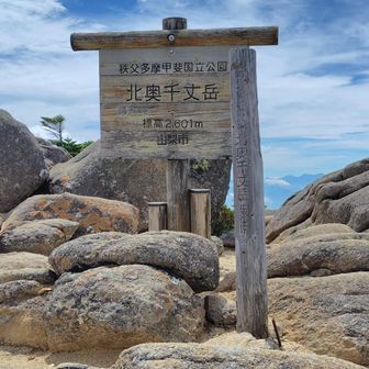 うっすら最高峰