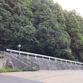 駐車場、10台くらい停めれます。