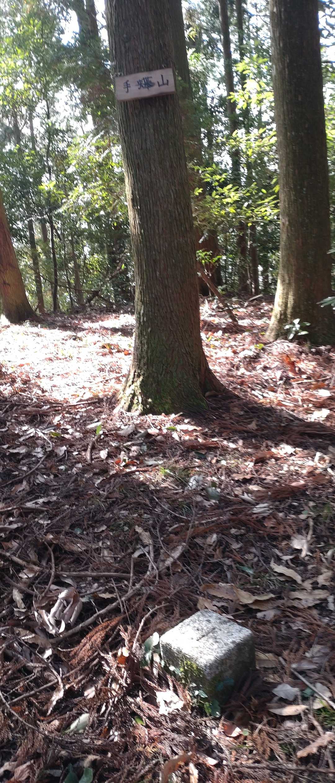 やっと手蝶山⛰
ここまでが命の危険あり