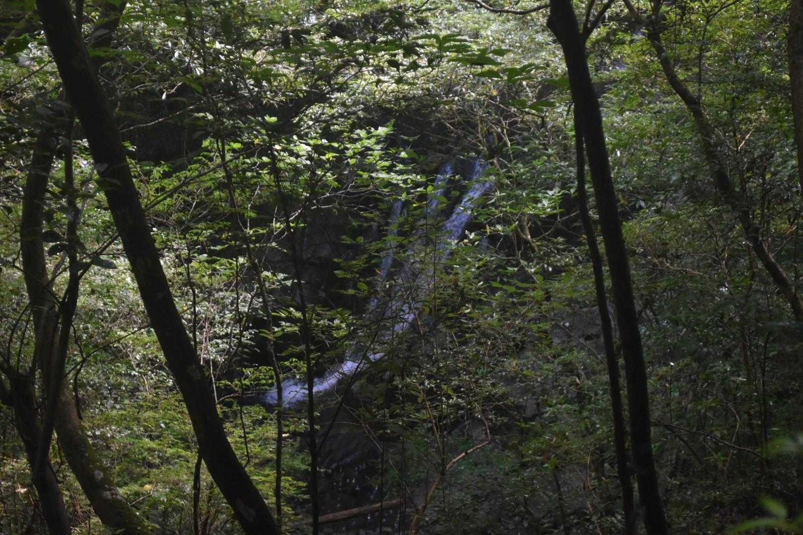 左下に滝。