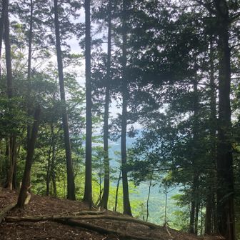 景色はまあまあか