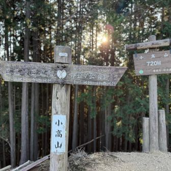 小高山⛰️ 720M