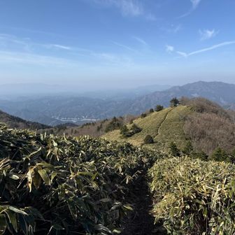 梅が市方面、眺めが良いです
右手の奥に石墨山