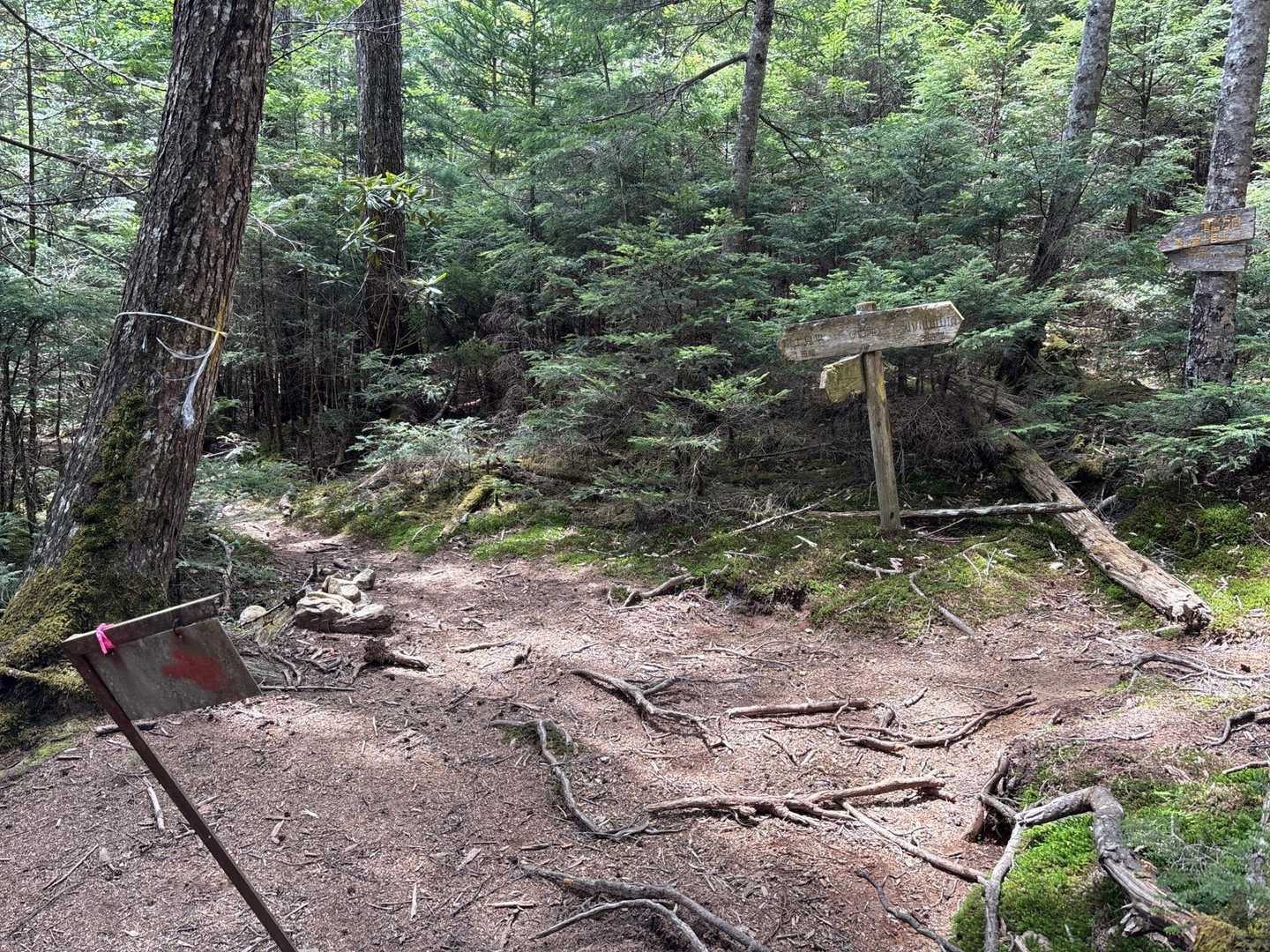 八丁平-小川山 往復コースの写真