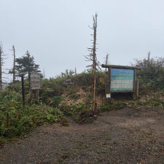 駐車場から徒歩2分の登山口