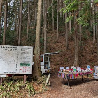 このお店の裏に出てきます
