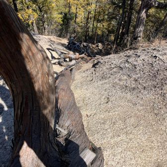 上から見た感じ
すごいよねーこの木のおかげで登れた。
ありがと