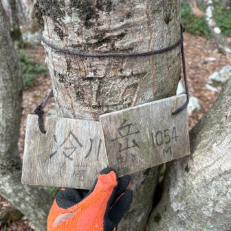 本日２回目の荷ヶ岳別名冷川岳

気を抜かない様に星田連山で回収したグローブを擦り切れるまで使用しようと思ってます♪